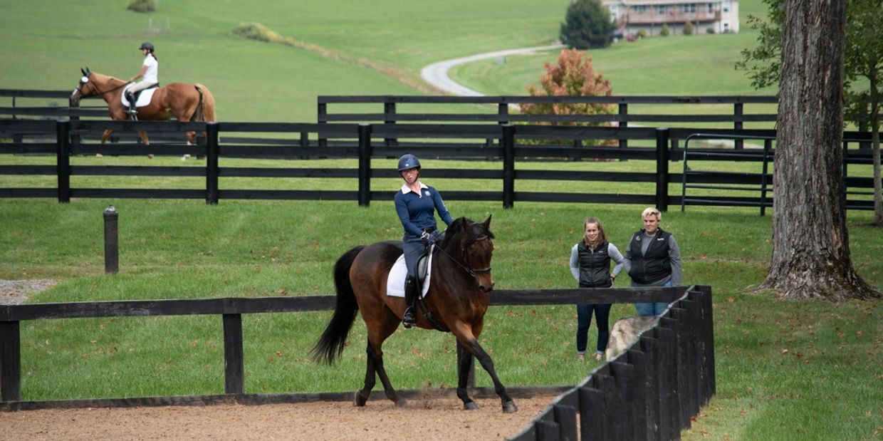 Dressage Schooling Shows